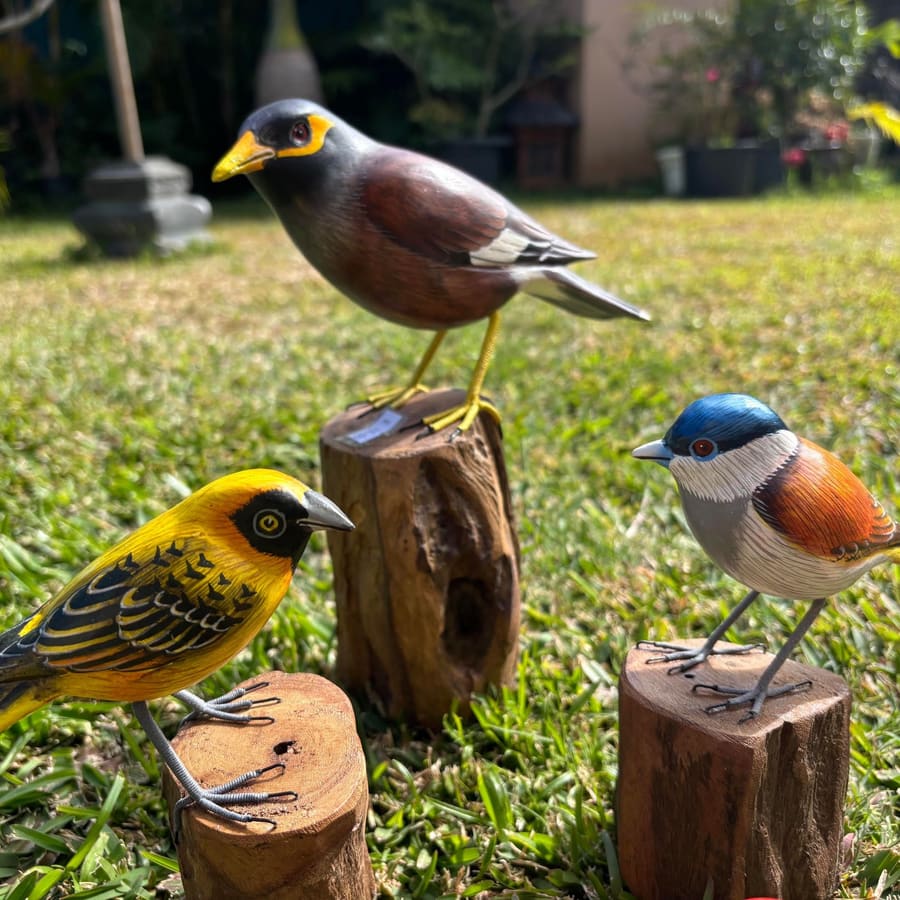 Oiseaux — artisanat Sabaguina, Saint-Leu (3)
