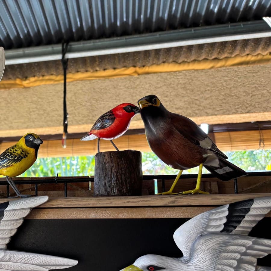 Oiseaux — artisanat Sabaguina, Saint-Leu (4)